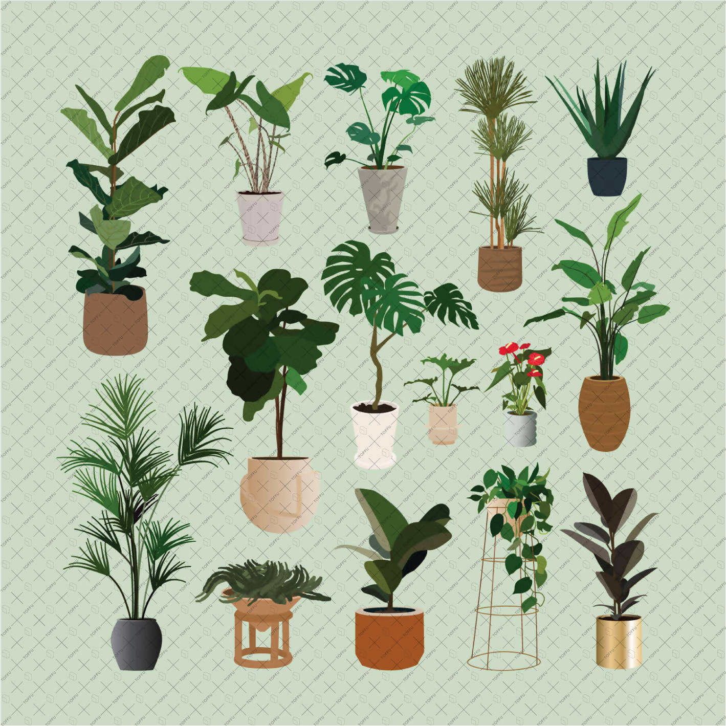 Flat Vector 15 Plants Pack PNG - Toffu Co